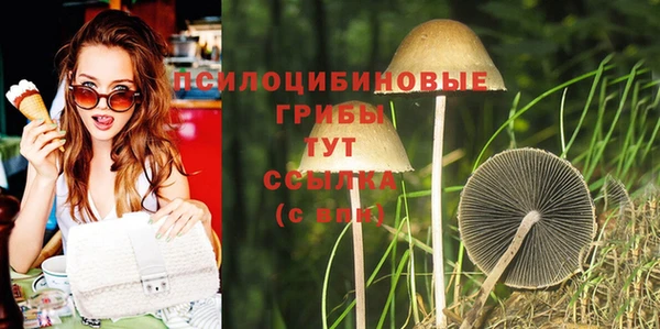 хмурый Вязники