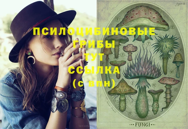 герыч Вязьма