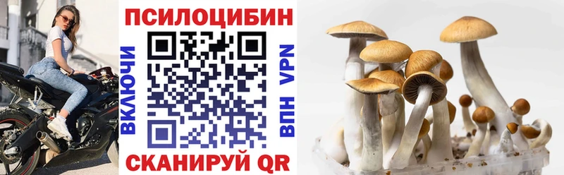 Галлюциногенные грибы Cubensis закладки Снежинск